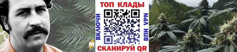 Где купить наркотики Белоярский Псилоцибиновые грибы Бошки Шишки COCAIN Меф ГАШ