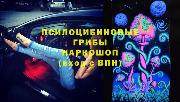 spice Алексин