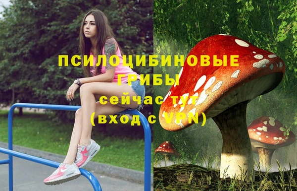 а пвп мука Алексеевка
