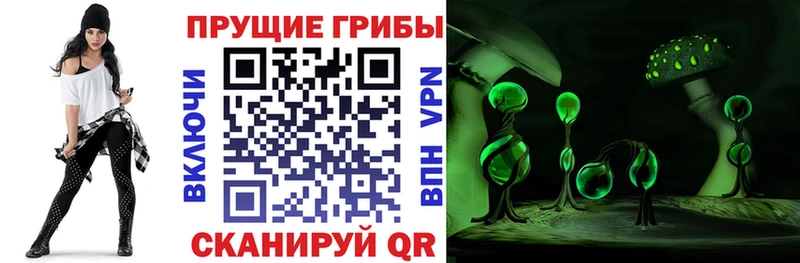 кракен ТОР  darknet телеграм  Псилоцибиновые грибы мицелий  Белоярский 